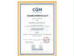 湖南w66职业健康安全管理体系认证证书